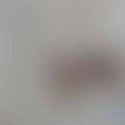 Social Studies: (J)Julius Caesar