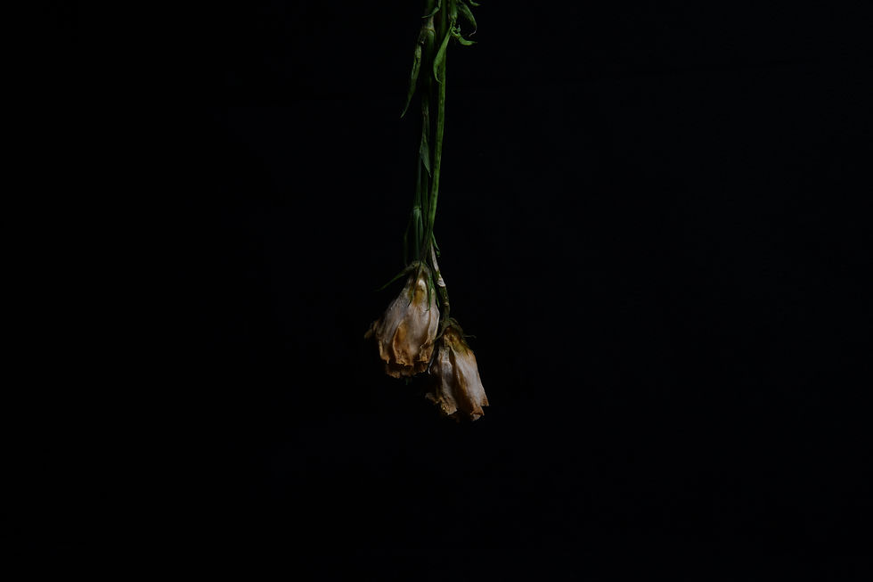 20200331 Flower D8501027