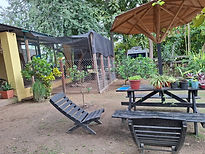 shared image (11).jfif