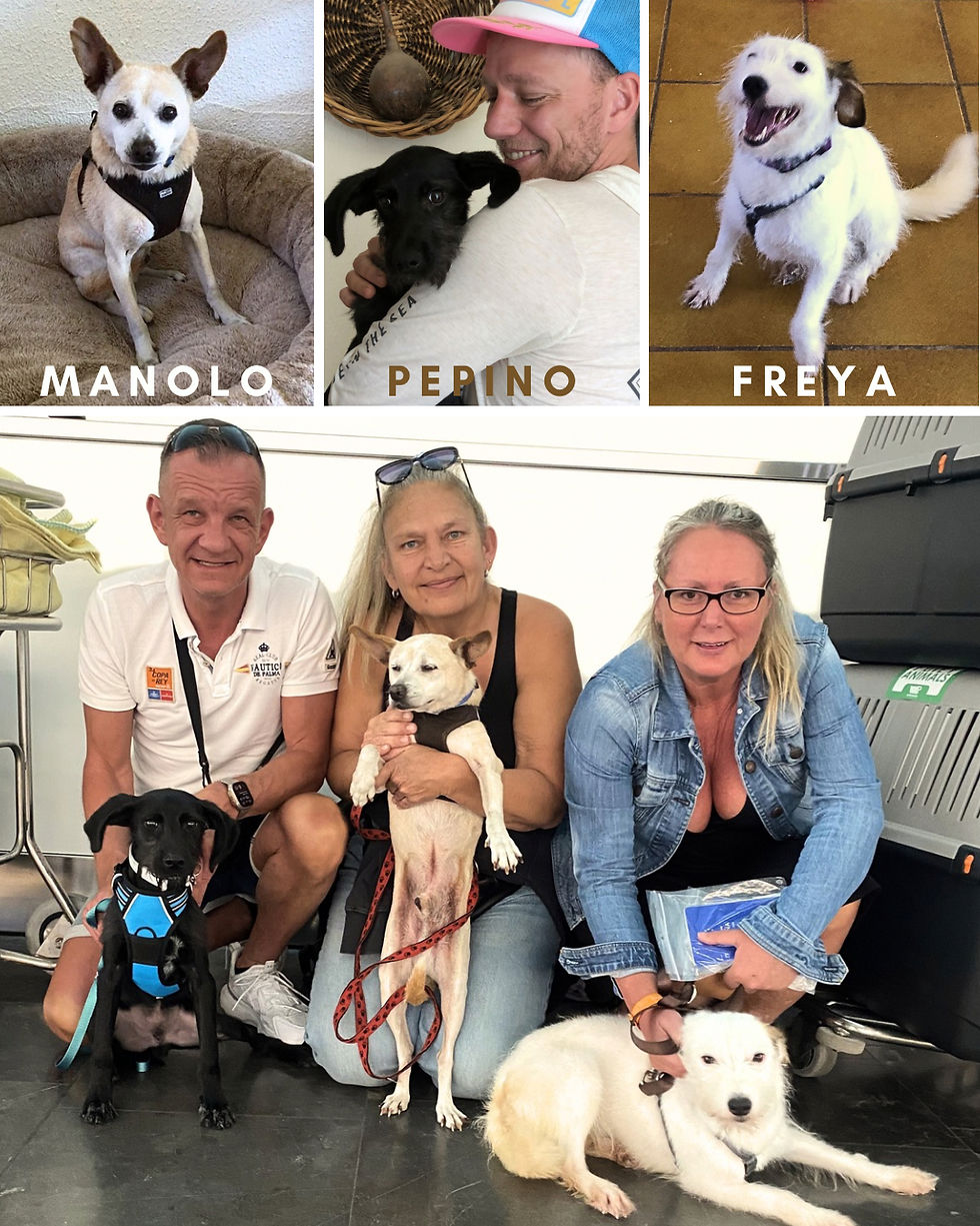 Abflug Manolo, Pepino & Freya