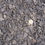 Thumbnail: 20mm Rundle