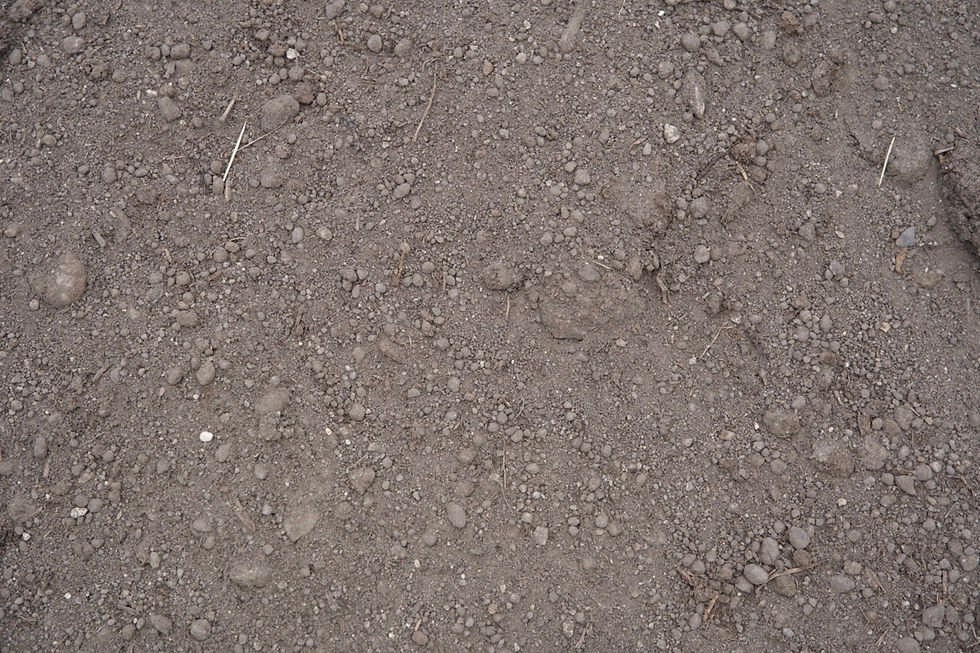 Screened Loam