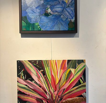 Irises,Cordyline.jpeg