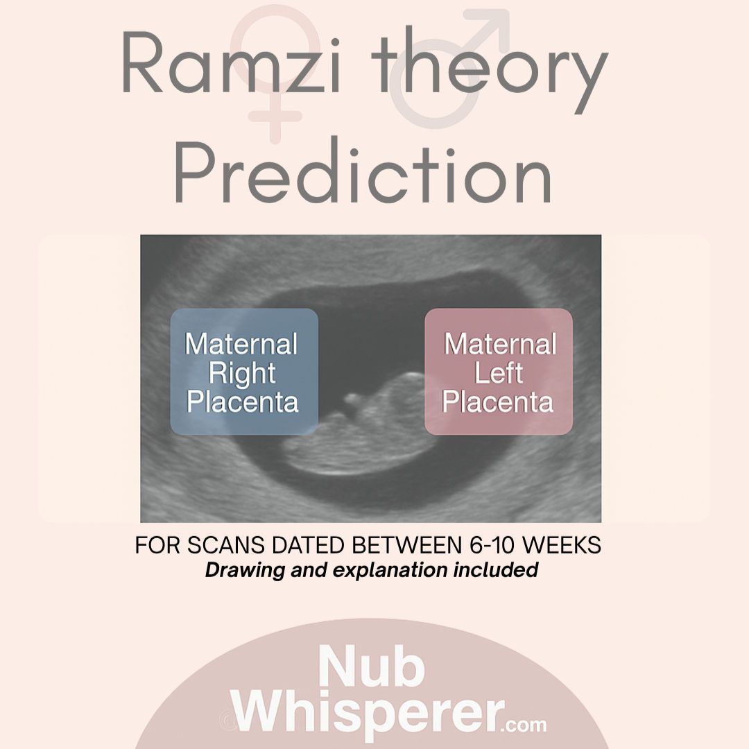 Fun Ramzi Reading + Draw I 6-10 weeks max