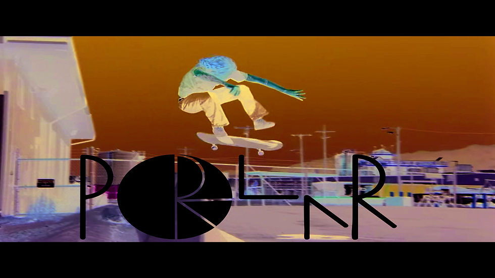 Polar Skate Co.
