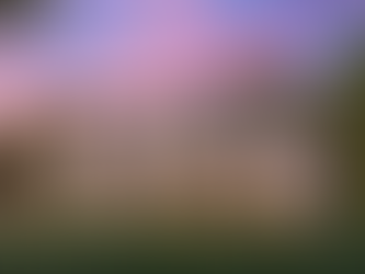 Why Rightsizing Your Home Could Be the Best Decision You’ll Ever Make