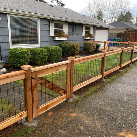 Hog Panel Fence