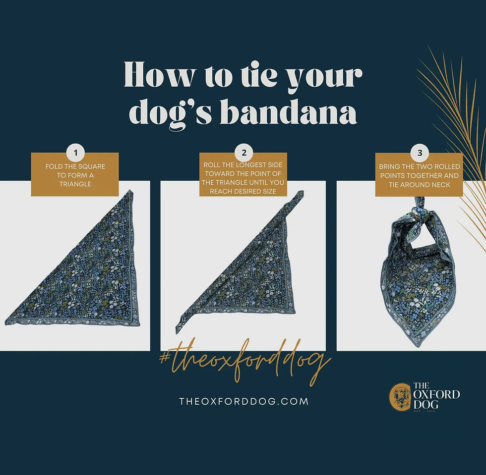 Thumbnail: Small The Oxford Bandana
