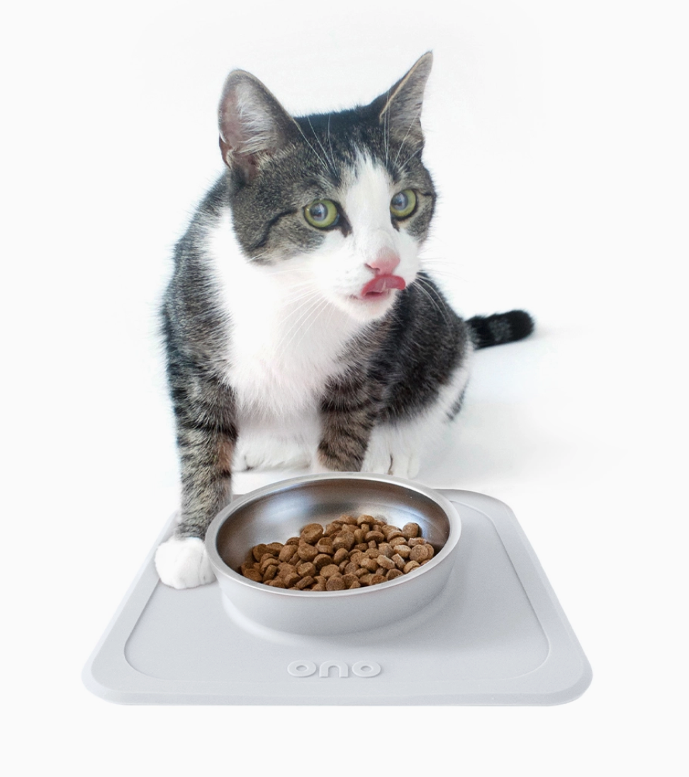 Thumbnail: Ono Bowl Single Small