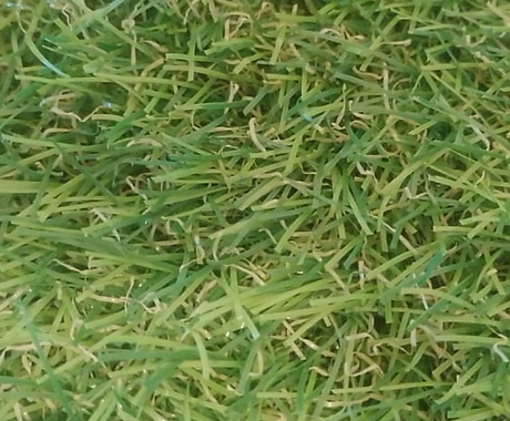 Ebenézer Gramas (3).png