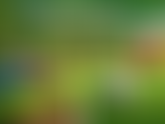 Diferença entre gramaso natural e sintético