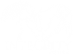 integrity equine_edited_edited_edited.png