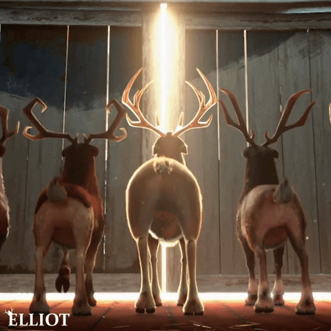giphy.gif