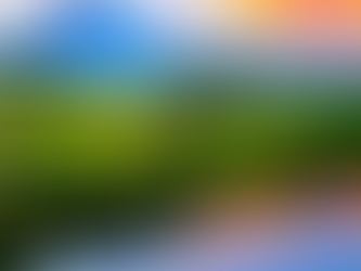 Discover Tanzania: The Gem of East Africa