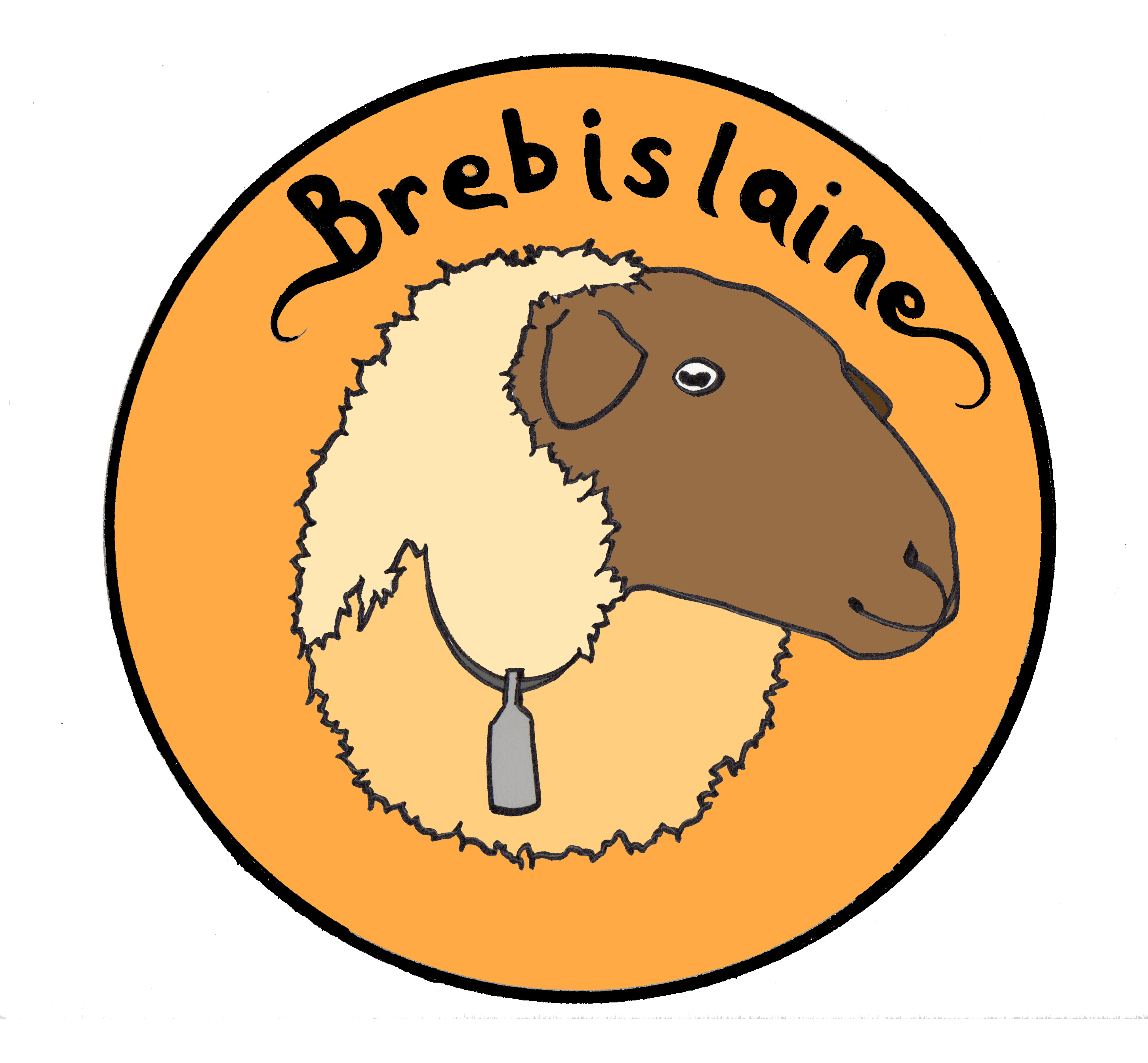Brebis Laine
