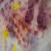 eco print sur chaussette.JPG