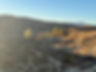 IMG_8273.jpeg