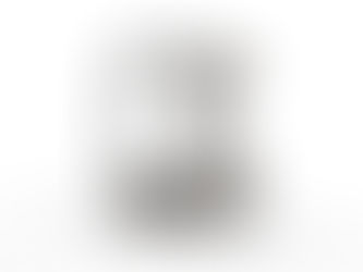 The Brick That Broke the Rules.