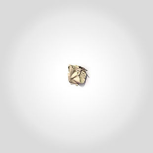 “bird of paradise"