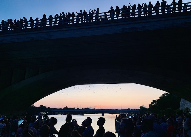 Bilde av Congress ave bridge, Austin.