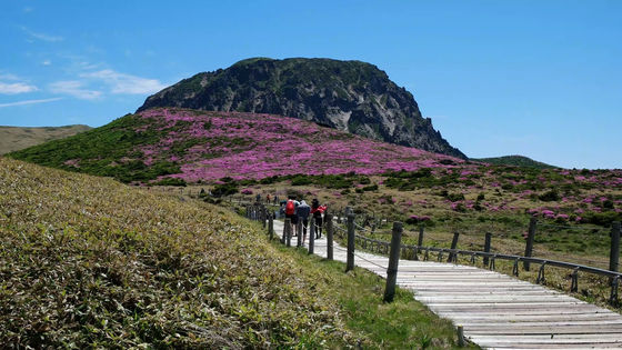 The volcano 'Halla Mountain'