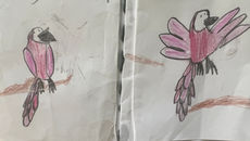 Mini Picture Book Tails! — A Creative Story by Young Author Carter