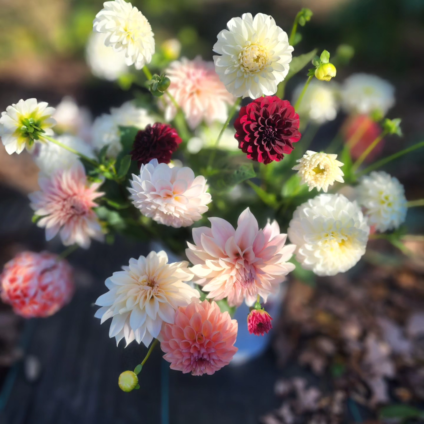 DIY flower bucket