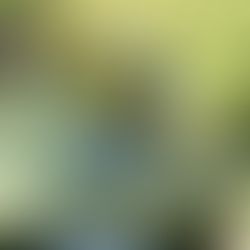 When life gives you lemons, throw this party