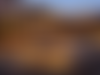 🏈 Turn Your Backyard Into the Ultimate Super Bowl Entertainment Space (Westminster + Surrounding Areas)