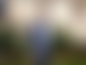 Découvrez le programme que nous avons construit avec vous