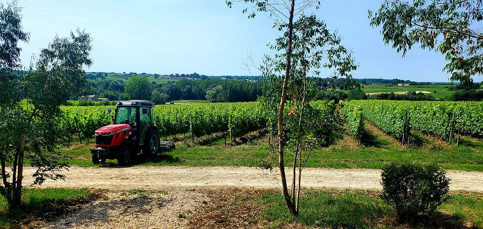 Aberdeen Wine Appreciators-Back to Bordeaux