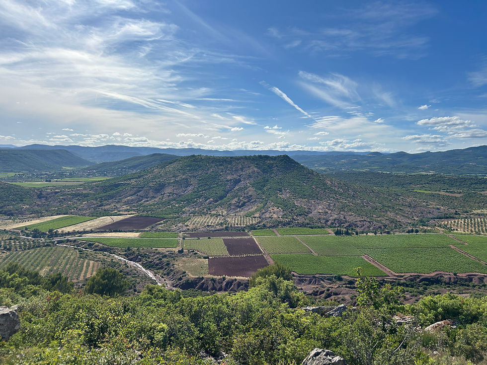 Aberdeen Wine Appreciators-Languedoc Life