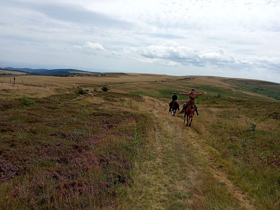 Escapade en Haut Forez