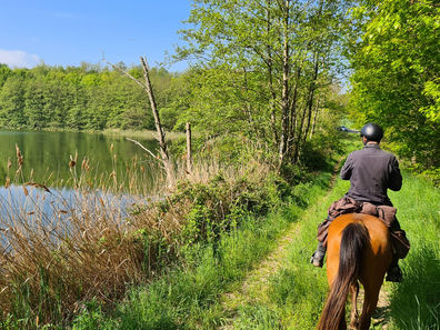 Du 2 au 5 mars 2023 : escapade(s) en Dombes