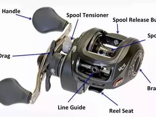 Baitcasting Reel Bearings: A Basic Guide