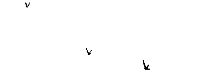 Tumblr_static_birds_story_by_gifs-s470x9