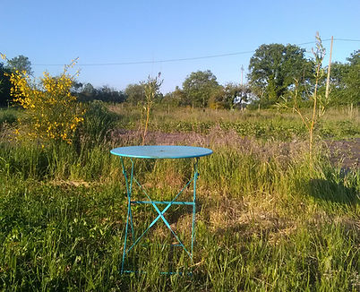 IMG_20250505_080438 (1).jpg