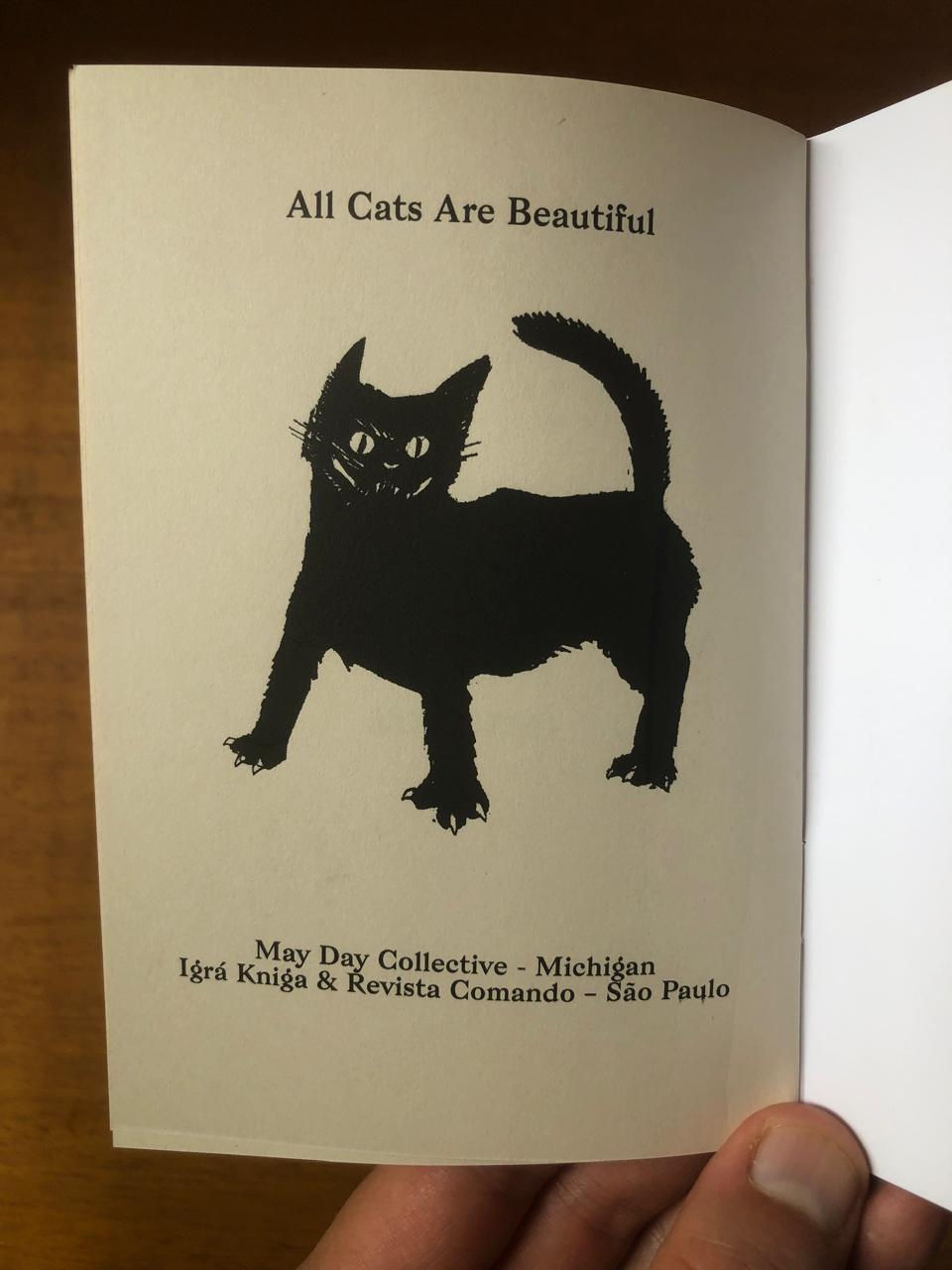 Miniatura: 12 Coisas que você pode fazer ao invés de chamar a polícia - Edição de Bolso