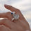 Thumbnail: Caught in a Net Ring