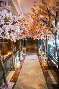 Wedding Carlton Jumeirah Hotel