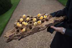 Rima Events Syon Park