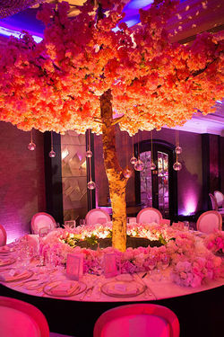 Wedding Carlton Jumeirah Hotel