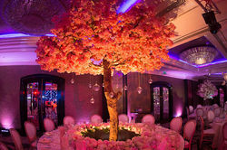 Wedding Carlton Jumeirah Hotel