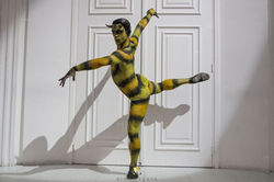 Amsterdam Celebrations