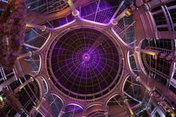 Rima Events Syon Park