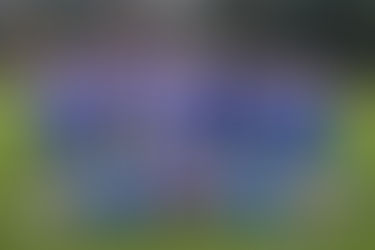 U15 skön vinst i avslutande matchen vs ÖBK