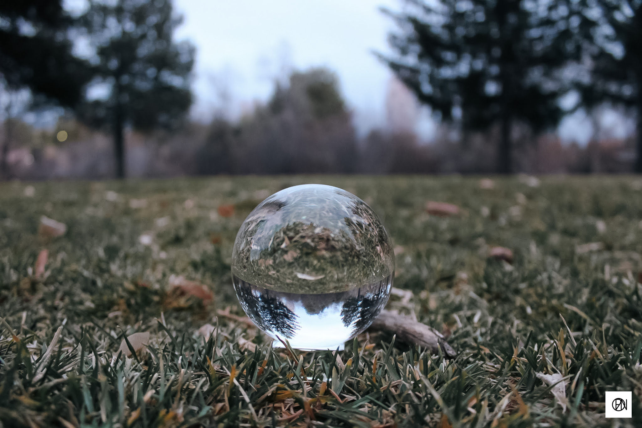Life through an orb