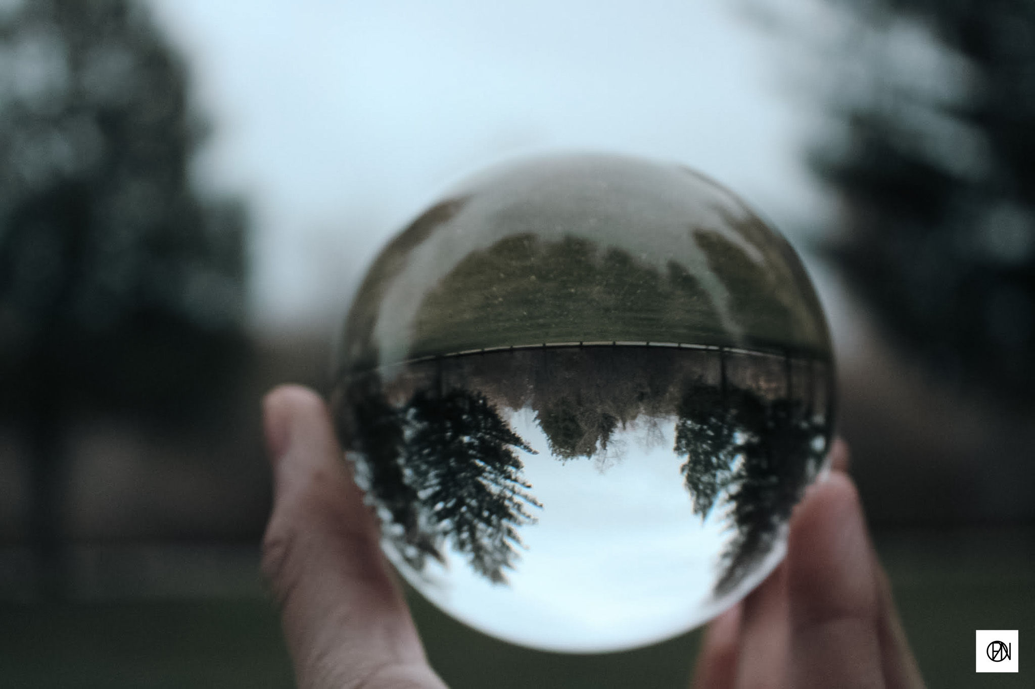 Life through an orb