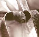 Karate de la correa