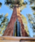 Thumbnail: 2018 Cabernet Sauvignon                        (PRIVATE RESERVE)